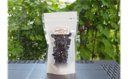 果樹園生まれの 無添加ギフトセット 『漆山果樹園』 山形県 南陽市 [664]