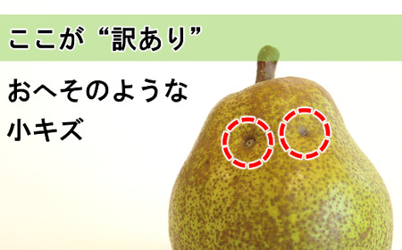 【令和6年産先行予約】 〈訳あり品 家庭用〉 ラ・フランス 約5kg (10～18玉) 《令和6年10月下旬～発送》 『旬の果実 佐藤市右衛門農園』 ラフランス 西洋梨 洋なし 訳あり 果物 フルーツ デザート 山形県 南陽市 [1047]