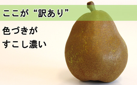 【令和6年産先行予約】 〈訳あり品 家庭用〉 ラ・フランス 約5kg (10～18玉) 《令和6年10月下旬～発送》 『旬の果実 佐藤市右衛門農園』 ラフランス 西洋梨 洋なし 訳あり 果物 フルーツ デザート 山形県 南陽市 [1047]