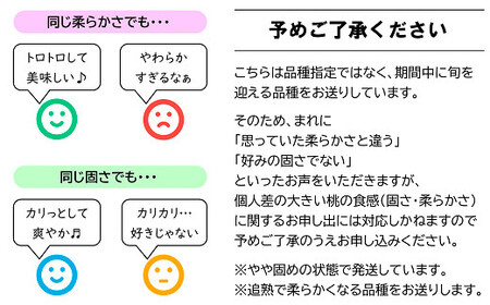 【令和7年産先行予約】 晩成のもも「だて白桃・さくら・西王母 等」約3kg (6～11玉) 《令和7年9月中旬～発送》 『生産者 高橋 賢一』 桃 モモ 果物 フルーツ 山形県 南陽市 [1107]