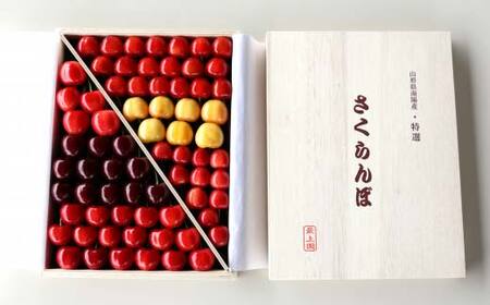 令和8年産先行予約】 さくらんぼ 6種詰合せ 約700g (特選 木箱入り