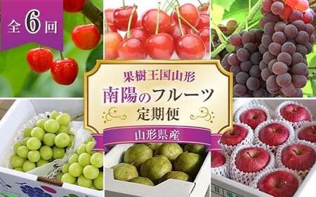 令和8年産先行予約】 《定期便6回》 果樹王国山形 南陽のフルーツ定期