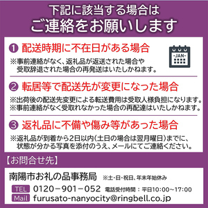 【令和8年産先行予約】 JA デラウェア 約2kg (9～12房 秀） 《令和8年7月下旬～8月下旬発送》 『JA山形おきたま』 葡萄 ぶどう ブドウ 種なし 果物 フルーツ 山形県 南陽市 [921]
