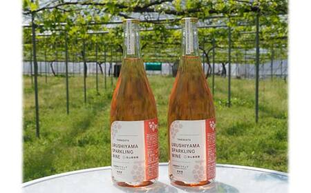 果樹園生まれの 「漆山スパークリングワイン (デラウェア)」 750ml×2本セット 『漆山果樹園』 自家栽培 山形県 南陽市 [1515]
