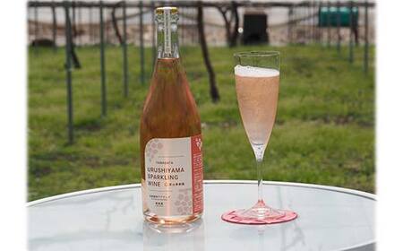 果樹園生まれの 「漆山スパークリングワイン (デラウェア)」 750ml×2本セット 『漆山果樹園』 自家栽培 山形県 南陽市 [1515]
