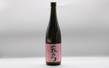 東の麓 天弓紅白セット 「純米吟醸 天弓 桜雨 ＆ 純米大吟醸 天弓 藍天」 各720ml 『東の麓酒造』 日本酒 2本セット 飲み比べ 山形県 南陽市 [1504]