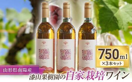 漆山果樹園の自家栽培ワイン 3本セット 1168