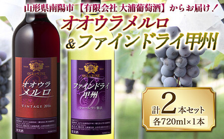 オオウラメルロ&ファインドライ甲州(各720ml×1本) 1079