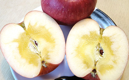 山形県南陽市の完熟りんご100％ジュース 6本セット 『船中農園』 山形県 南陽市 [1257]