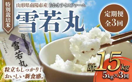 【あおきライスファーム】南陽市産 特別栽培米雪若丸 5kg《定期便全3回(計15kg)》 1610