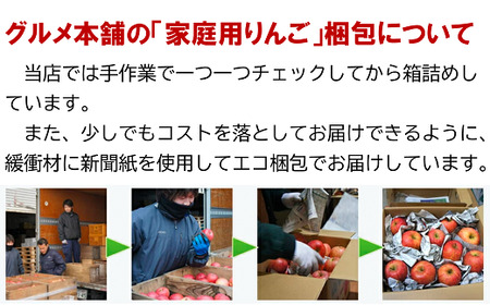 【令和6年産先行予約】 〈家庭用〉 ふじりんご 約10kg (28玉前後入り) 《令和6年12月上旬～発送》 『Yamagataうまいな中村屋』 りんご リンゴ ふじ 山形県 南陽市 [1741]