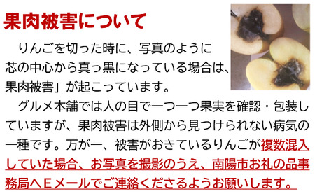 【令和6年産先行予約】 〈家庭用〉 ふじりんご 約10kg (28玉前後入り) 《令和6年12月上旬～発送》 『Yamagataうまいな中村屋』 りんご リンゴ ふじ 山形県 南陽市 [1741]