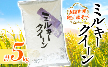 【金賞受賞農家】 令和7年産 特別栽培米 ミルキークイーン 5kg 『あおきライスファーム』 山形南陽産 米 白米 精米 ご飯 農家直送 山形県 南陽市 [1549] 26,250円