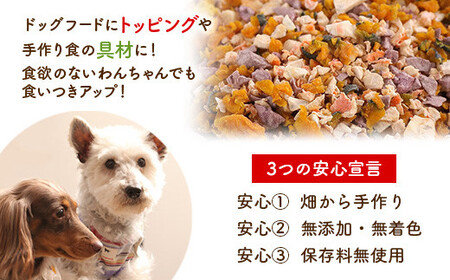 わんこのグルメ・ふりかけ 8点セット (レトルト・常温) 『Dog Garage (ドッグガレージ)』 山形県 南陽市 [1824]