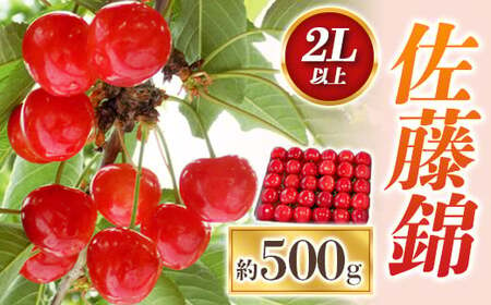 【令和6年産先行予約】 さくらんぼ 「佐藤錦」 約500g (秀 2L以上) パック詰め 《令和6年6月中旬～発送》 『田口農園』 サクランボ 果物 フルーツ 産地直送 生産農家直送 山形県 南陽市 [1398]