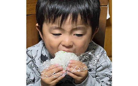 特別栽培米ヒメノモチ 杵つき餅  角餅5袋セット 550-2