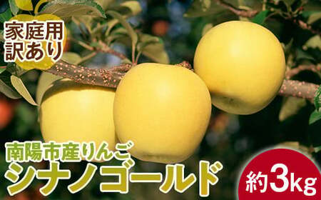 【令和6年産先行予約】 〈訳あり品 家庭用〉 りんご 「シナノゴールド」 約3kg (8～12玉前後) 《令和6年10月中旬～発送》 『平農園』 リンゴ 果物 フルーツ 山形県 南陽市 [1647]