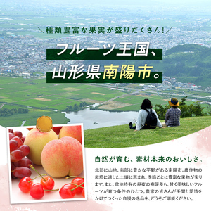 【令和6年産先行予約】 〈訳あり品 家庭用〉 りんご 「シナノゴールド」 約3kg (8～12玉前後) 《令和6年10月中旬～発送》 『平農園』 リンゴ 果物 フルーツ 山形県 南陽市 [1647]