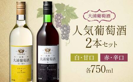 大浦葡萄酒 人気葡萄酒 750ml×2本セット 『(有)大浦葡萄酒』 赤ワイン 白ワイン 甘口 辛口 酒 山形県 南陽市 [1893]