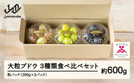 《先行予約》 2026年 山形県山辺町産 大粒ブドウの3種類食べ比べセット！粒パック600g（200g×3）シャインマスカット 雄宝 ナガノパープル バイオレットキング マイハート 富士の輝 我が道 マスカットノワール マスカサーティーン スカーレット クイーンセブン 2026年9月中旬から順次発送 F21A-242