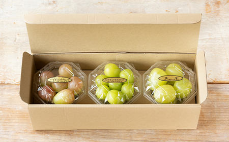 《先行予約》 2026年 山形県山辺町産 大粒ブドウの3種類食べ比べセット！粒パック600g（200g×3）シャインマスカット 雄宝 ナガノパープル バイオレットキング マイハート 富士の輝 我が道 マスカットノワール マスカサーティーン スカーレット クイーンセブン 2026年9月中旬から順次発送 F21A-242