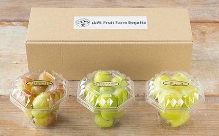 《先行予約》 2026年 山形県山辺町産 大粒ブドウの3種類食べ比べセット！粒パック600g（200g×3）シャインマスカット 雄宝 ナガノパープル バイオレットキング マイハート 富士の輝 我が道 マスカットノワール マスカサーティーン スカーレット クイーンセブン 2026年9月中旬から順次発送 F21A-242