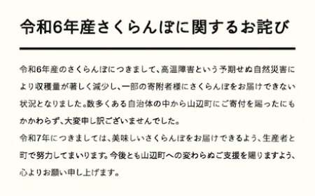 ≪先行予約≫贈答用 2025年 山形県産 さくらんぼ 相澤農園 紅秀峰500g 特秀 L以上 化粧詰め サクランボ F21A-437