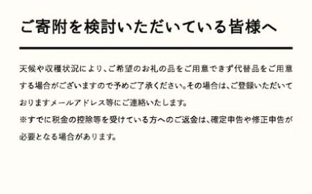 ≪先行予約≫贈答用 2025年 山形県産 さくらんぼ 相澤農園 紅秀峰500g 特秀 L以上 化粧詰め サクランボ F21A-437