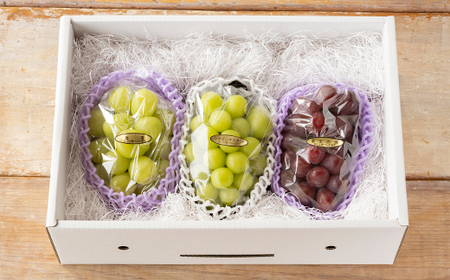 ≪先行予約≫贈答用 2026年山形県産 品種おまかせ 大粒ぶどう3種セット 2.0~2.4kg(3房) 2026年9月中旬から順次発送 ぶどう ブドウ 葡萄 マスカット 大粒 種なし皮ごと食べられる 高級 くだもの 果物 フルーツ 秋果実 産地直送 農家直送 数量限定 ギフト F21A-440