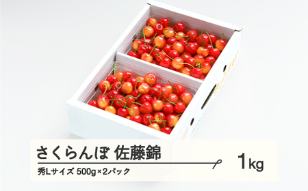 《先行予約》 さくらんぼ 佐藤錦 秀Lサイズ プレゼント ギフト バラ詰め 1kg(500g×2パック) 2025年産 令和7年産 山形県産 ns-snslb1