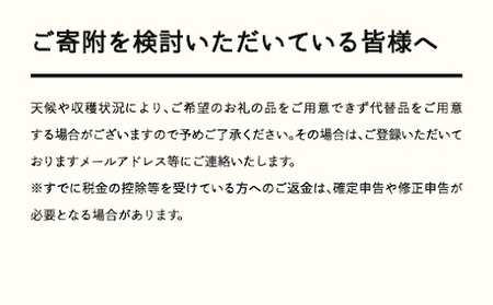 《先行予約》 さくらんぼ 佐藤錦 秀Lサイズ プレゼント ギフト バラ詰め 700g(350g×2パック) 2025年産 令和7年産 山形県産 ns-snslb700