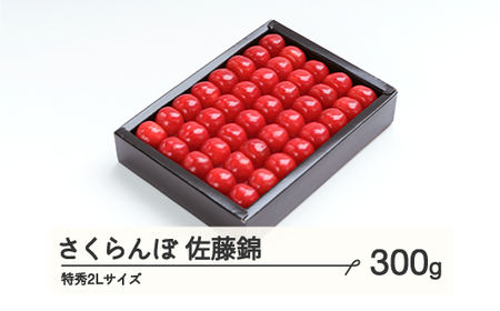 《先行予約》 さくらんぼ 佐藤錦 特秀2Lサイズ プレゼント ギフト 化粧箱入 300g 2025年産 令和7年産 山形県産 ns-snt2x300