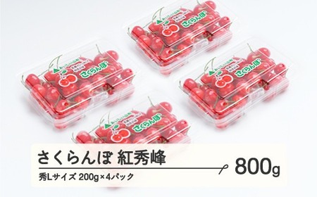 《先行予約》 さくらんぼ 紅秀峰 秀Lサイズ 800g (200gx4パック) フードパック 2025年産 令和7年産 山形県産 ns-bsslp800