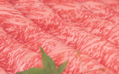 山形牛 ロース しゃぶしゃぶ 350g A4-A5ランク 冷凍 高橋畜産 tc-gnrxh350