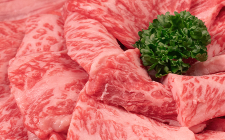 山形牛 肩ロース 焼肉 600g A4-A5ランク 冷凍 高橋畜産 tc-gnexg600