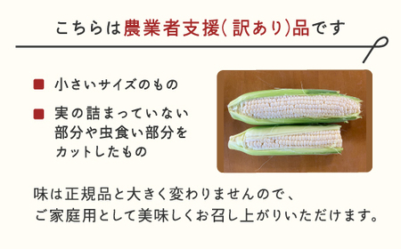 ≪先行予約≫ 農業者支援 ご家庭用 2025年 山形県産 ホワイトコーン 2kg 生で味わう 白とうもろこし トウモロコシ コーン 夏 野菜 やさい ※沖縄・離島への配送不可 ot-cnwwx2