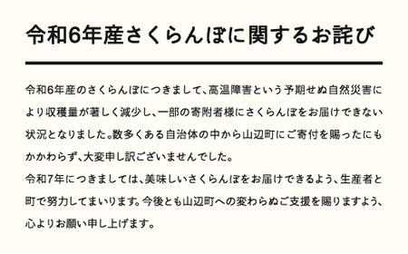 ≪先行予約≫ 2025年 山形県産 さくらんぼ 佐藤錦 バラ詰め 500g 秀 L-2L混合 2025年6月中旬頃から順次発送 サクランボ フルーツ くだもの 果物 ot-snsbx500