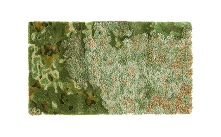 【山形緞通】KOKE (S) [絨毯 じゅうたん ラグ カーペット oc-lkkks]