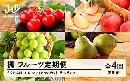 【先行予約】【春始まり】楓 フルーツ 定期便 山形 令和8年産 さくらんぼ 佐藤錦 桃 もも シャインマスカット ラ・フランス 全4回 フルーツ定期便 mm-ft4xx