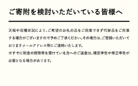 ≪先行予約≫ 2025年 山形県産 さくらんぼ 紅秀峰 バラ詰め（パック） 500g 秀 L～2L サクランボ F21A-455