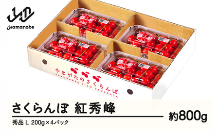 【ふるさと納税】先行予約 さくらんぼ 紅秀峰 秀品 L 約800g 令和7年産 2025年産 山形県産 フルーツ 果物 tf-bspsl800