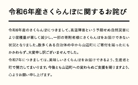 《先行予約》さくらんぼ 佐藤錦 秀Mサイズ ご家庭用 バラ詰め フードパック800g(200g×4パック） 2025年産 令和7年産 山形県産 ns-snsmp800