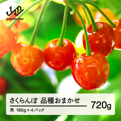 【先行予約】さくらんぼ 品種おまかせ 秀品 約720g 令和8年産 2026年産 山形県産 フルーツ 果物 tf-saos720