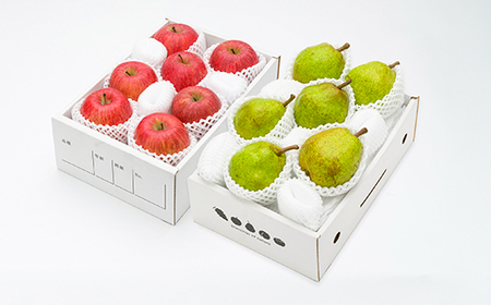 2025年 山形県産 サンふじ ラ・フランス 各2kg 計4kg 令和7年産 りんご リンゴ 林檎 ラフランス 洋梨 セット ※沖縄・離島への配送不可 ns-rilax4