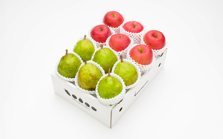 サンふじ&ラ・フランス 3kg 令和7年産 2025年産 山形県産 りんご ラフランス ※沖縄・離島への配送不可 ns-fsrlx3