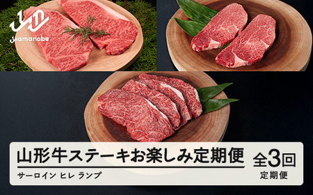 山形牛  定期便 山形牛ステーキお楽しみ定期便(全3回)  冷凍  セット ステーキ サーロイン ヒレ ランプ  高橋畜産 tc-tkygt3