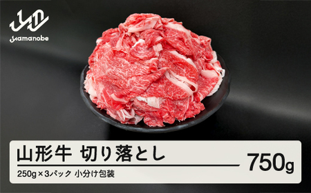 山形牛 切り落とし 750g  部位お任せ 形不揃い 牛肉 高橋畜産 ※沖縄・離島への配送不可 tc-gnxox750