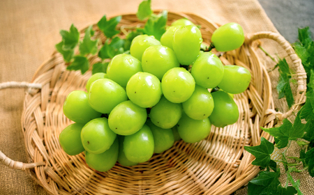 先行予約 山形秋果実満喫セット ラ・フランス サンふじ シャインマスカット 秀品 詰め合わせ 2.5kg 化粧箱入り 2026年産 令和8年産 山形県産 ラフランス 西洋梨 洋梨 梨 りんご リンゴ ぶどう ブドウ 葡萄 果物 フルーツ セット アソート 詰合せ 送料無料 ※沖縄・離島への配送不可 ns-fsrls2500