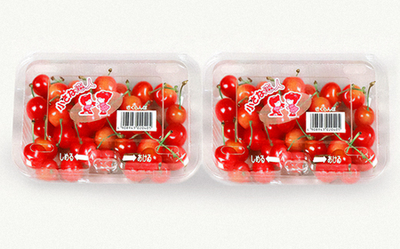 【先行予約】 さくらんぼ ご家庭用 佐藤錦 秀品 M玉以上 約360g 令和8年産 2026年産 山形県産 フルーツ 果物 tf-snpsm360