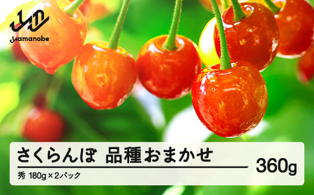 【先行予約】さくらんぼ 品種おまかせ 秀品 約360g 令和8年産 2026年産 山形県産 フルーツ 果物 tf-saos360